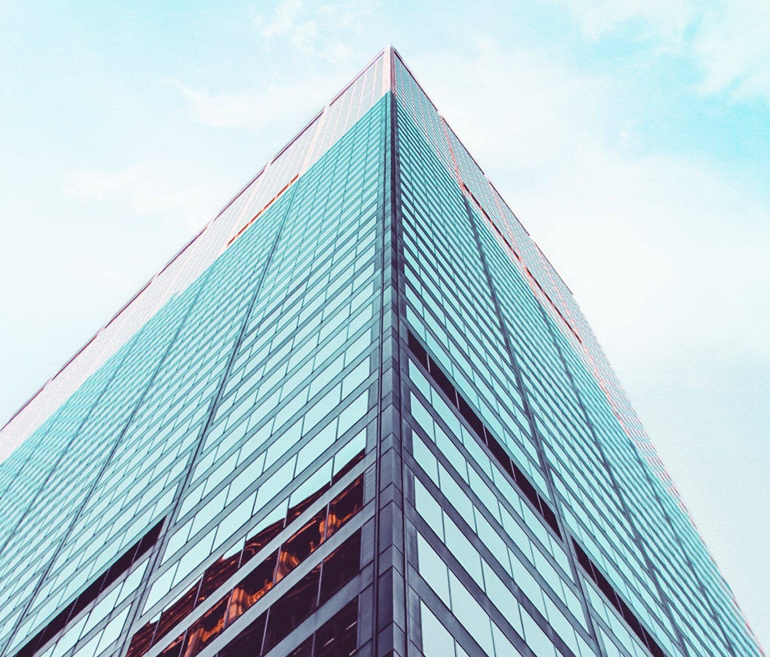 Business Plus + VOIP